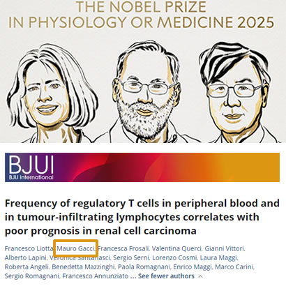 All’università di Firenze uno studio sulle Treg nel tumore al rene anticipa il Nobel per la Medicina 2025